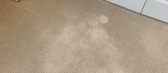 Carpet mould removal