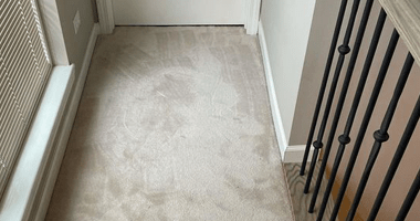 Carpet sanitization